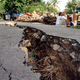 Illustration for article titled New Satellites Will Predict Earthquakes